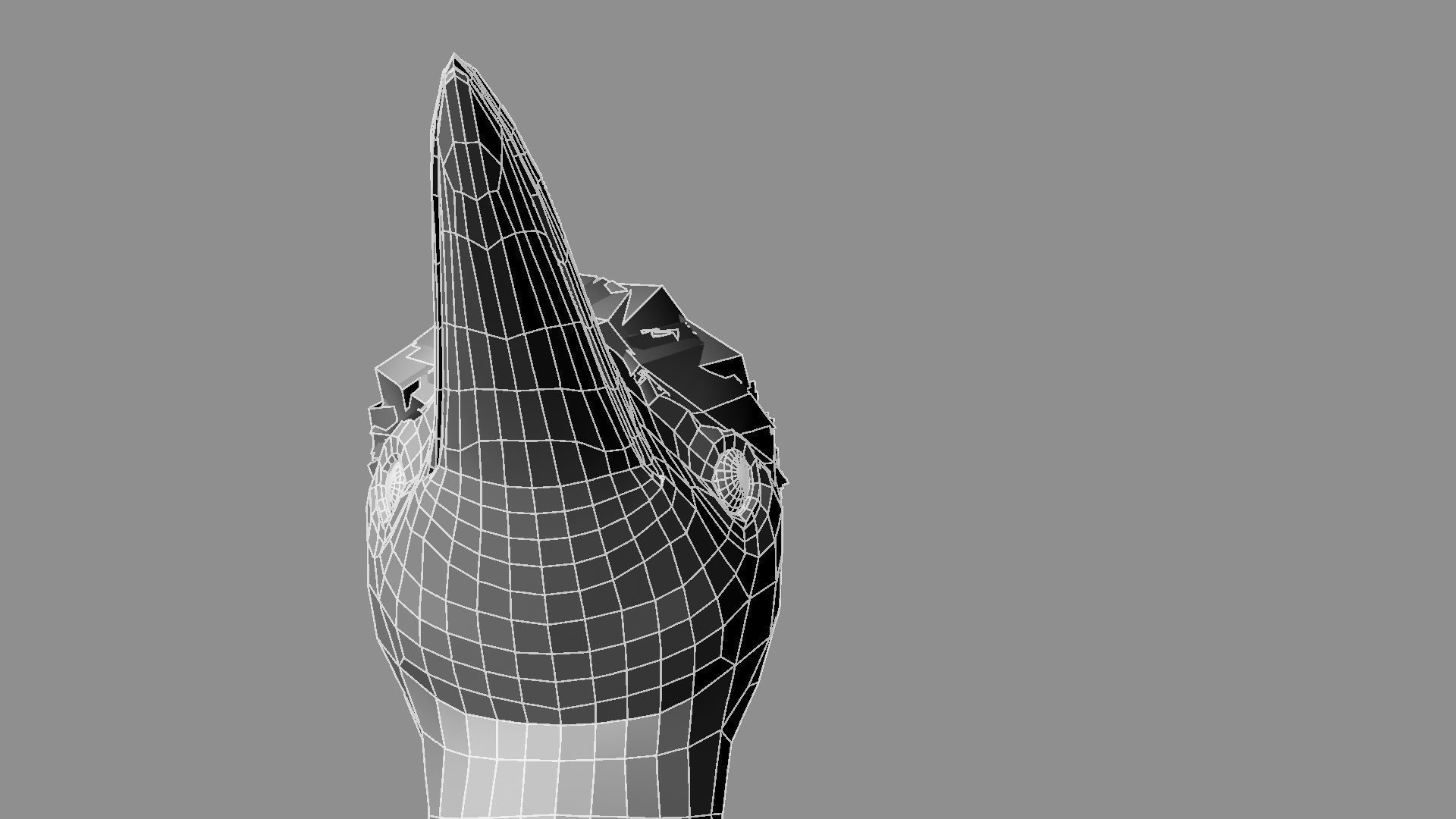 Pileated Woodpecker Animation and Rigging 3D model_34