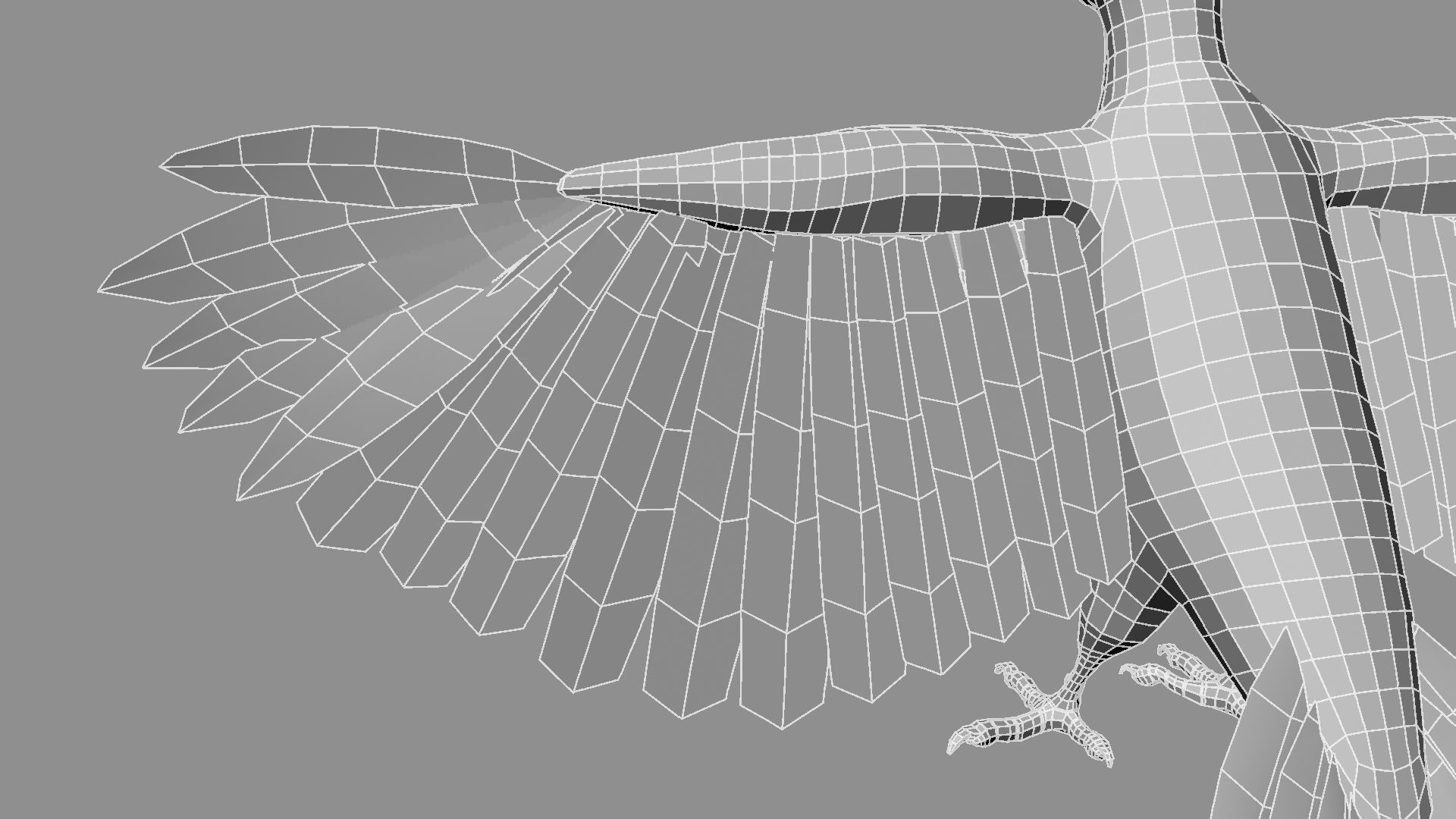 Pileated Woodpecker Animation and Rigging 3D model_39