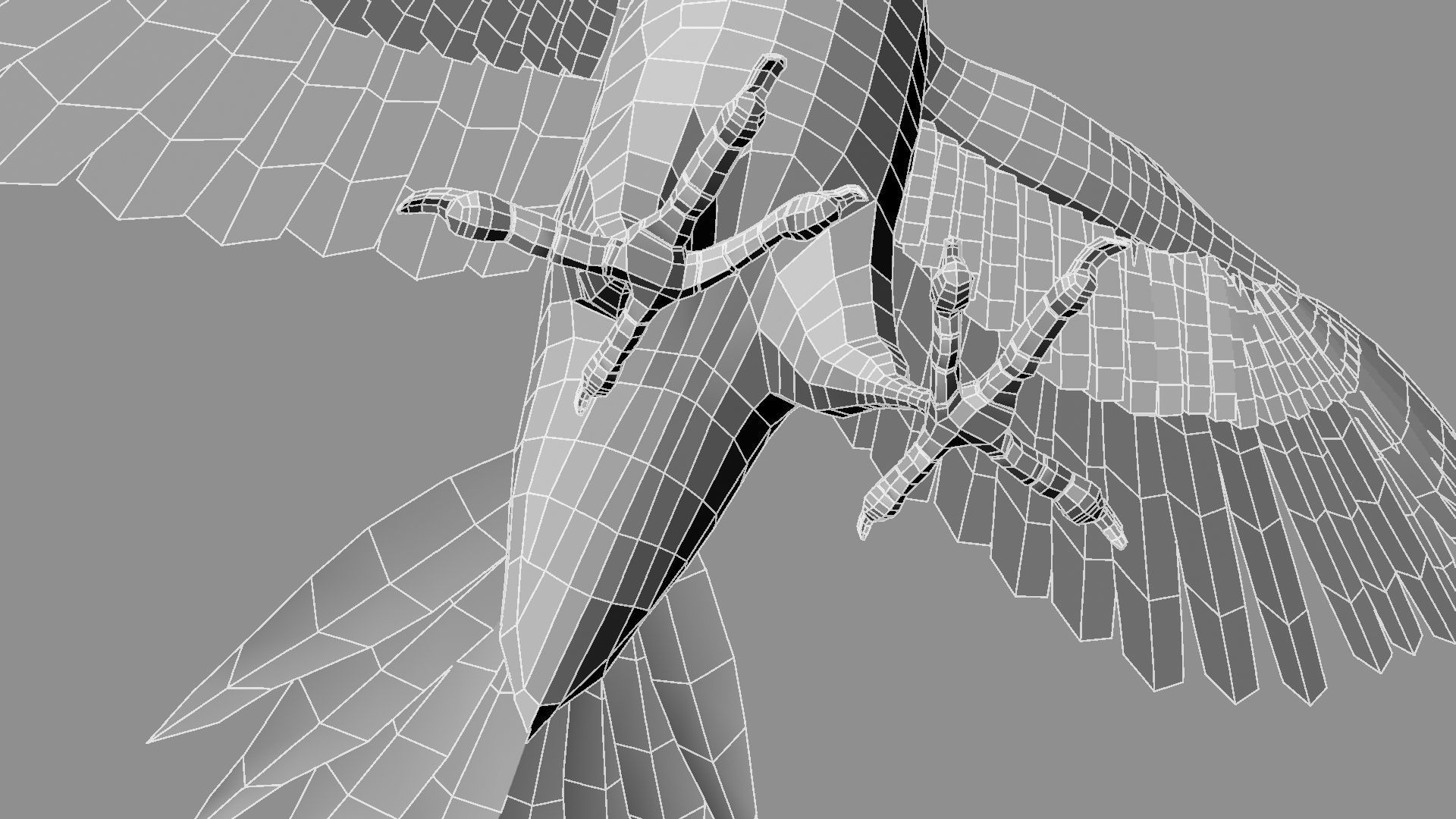 Pileated Woodpecker Animation and Rigging 3D model_43