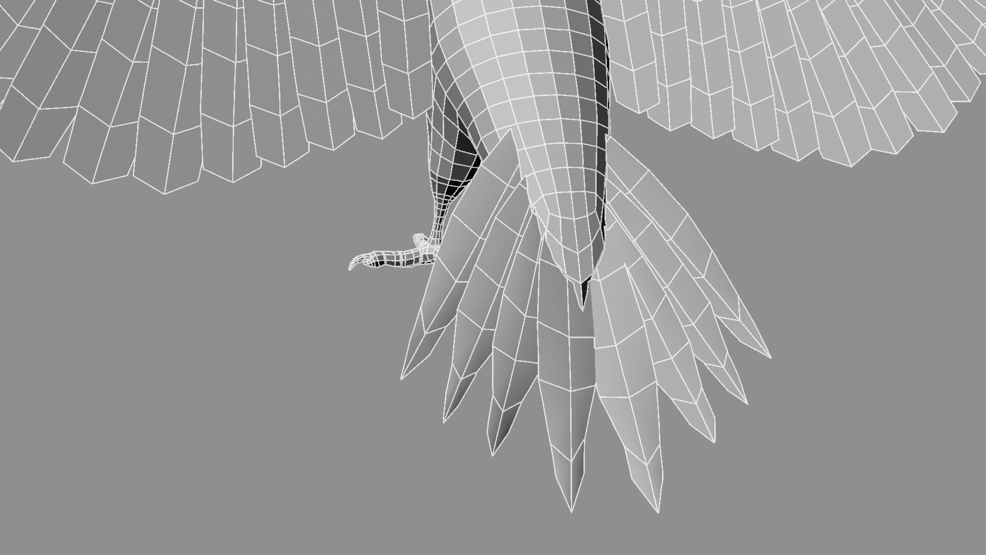 Pileated Woodpecker Animation and Rigging 3D model_40