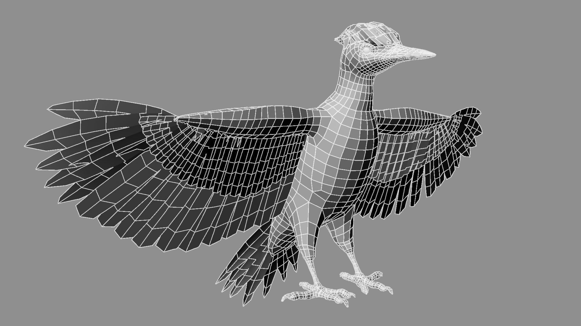 Pileated Woodpecker Animation and Rigging 3D model_31