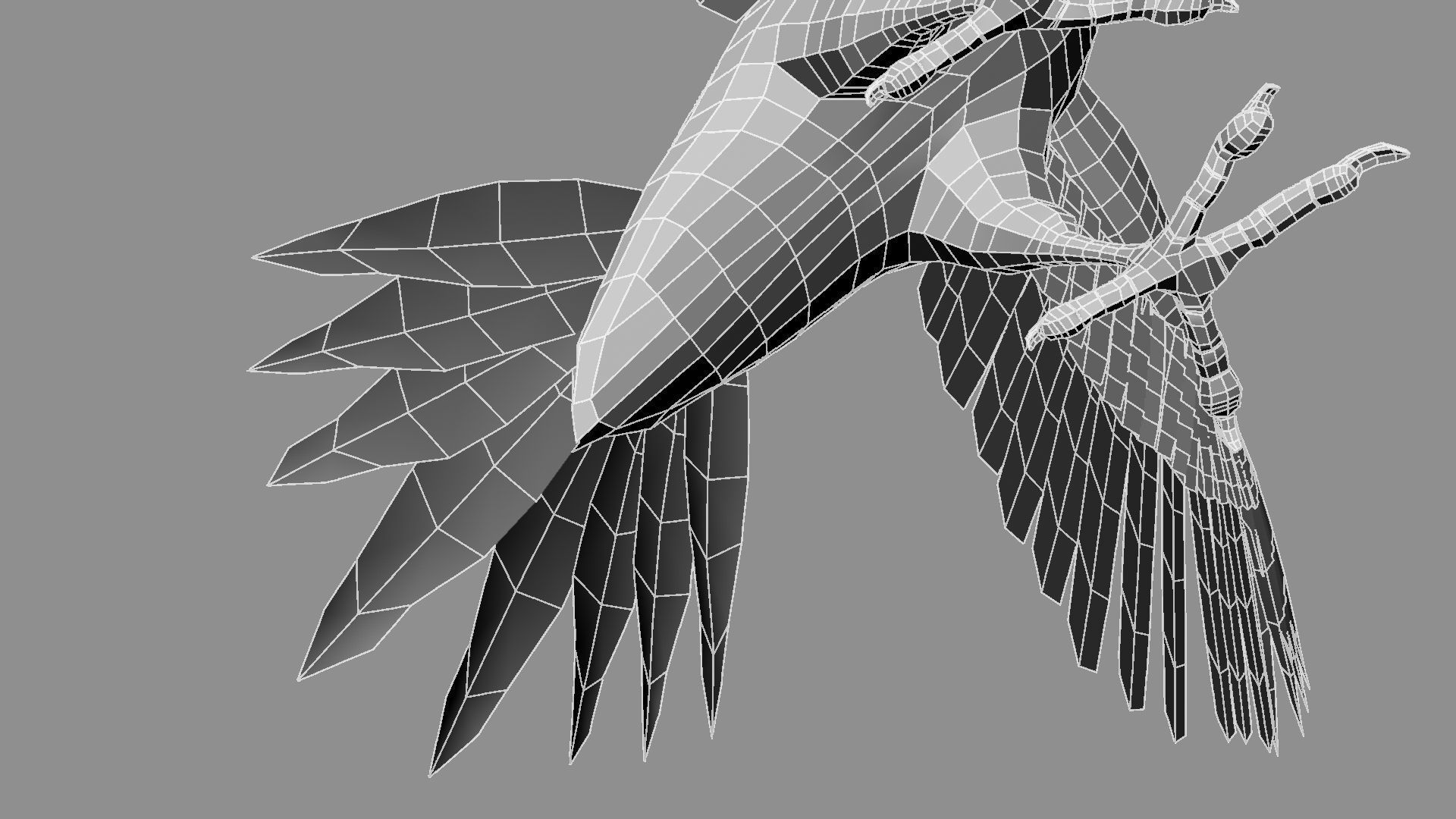 Pileated Woodpecker Animation and Rigging 3D model_44