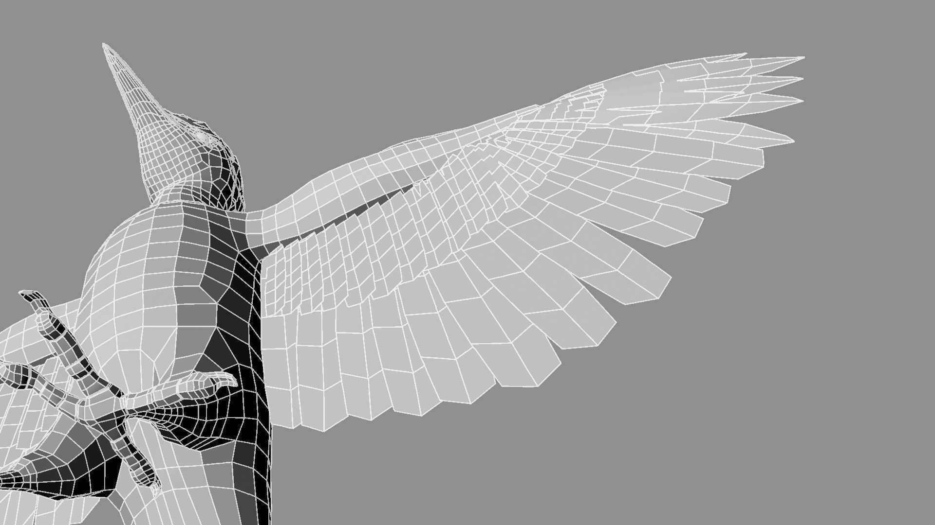 Pileated Woodpecker Animation and Rigging 3D model_48