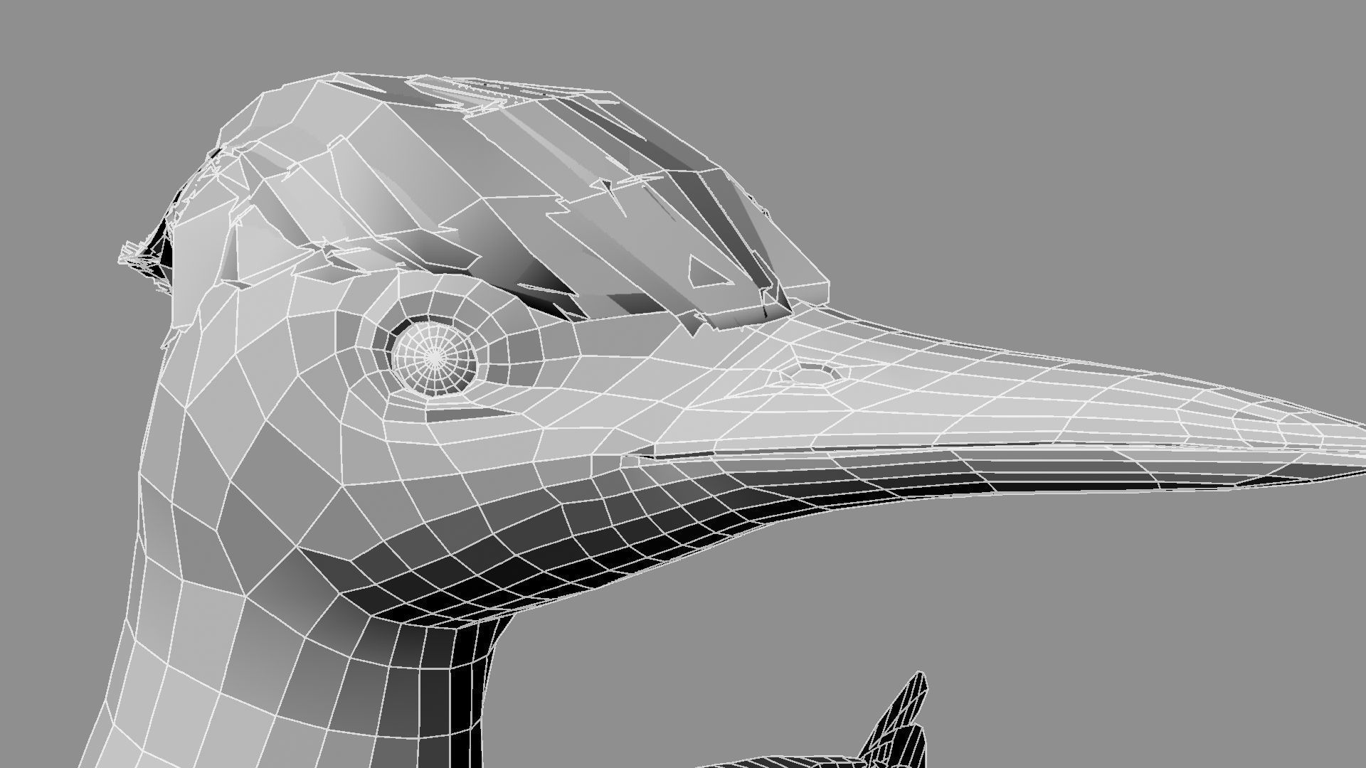 Pileated Woodpecker Animation and Rigging 3D model_32