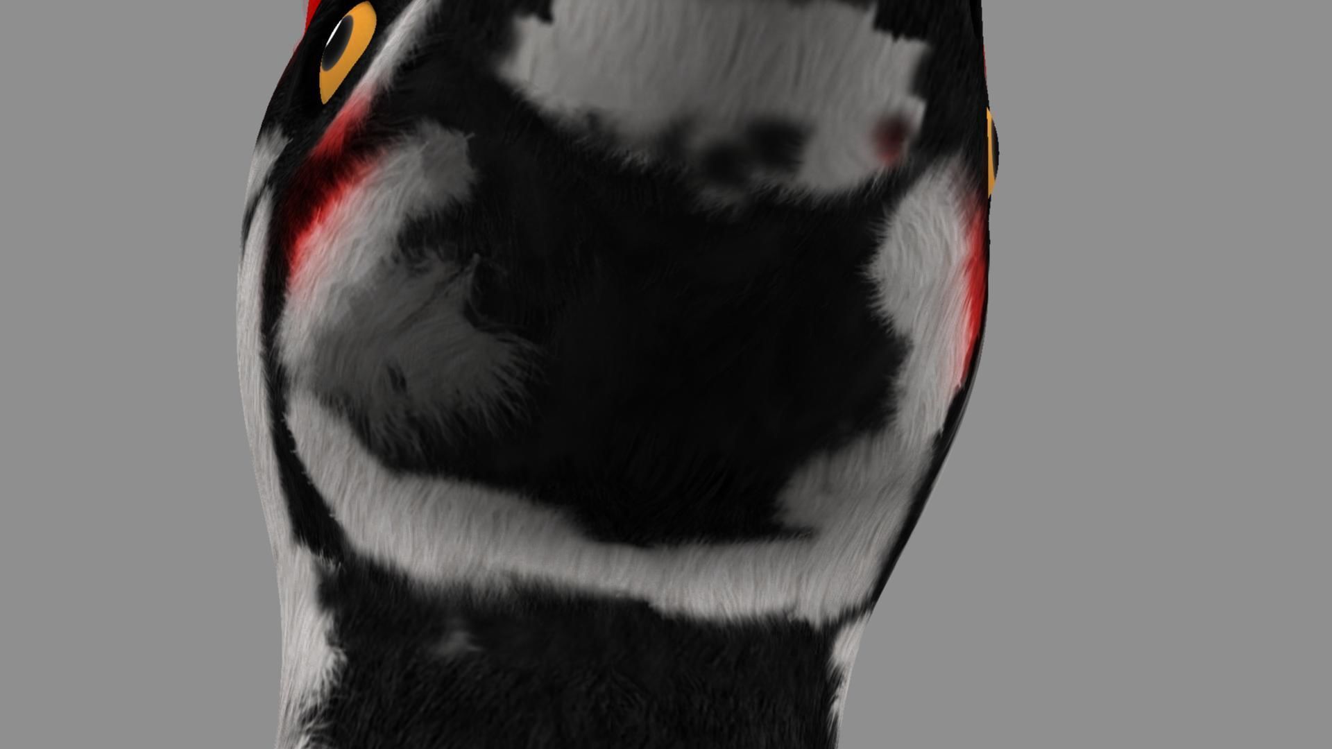 Pileated Woodpecker Animation and Rigging 3D model_19