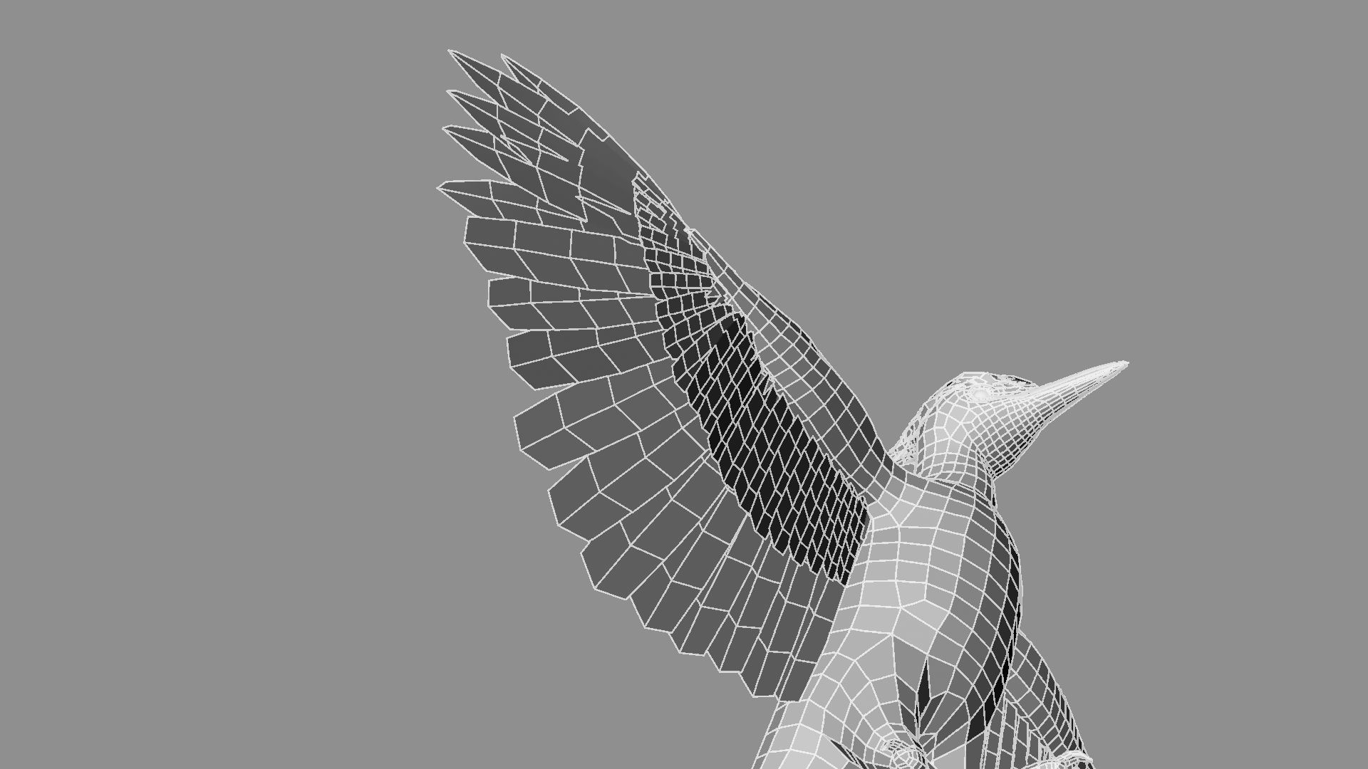 Pileated Woodpecker Animation and Rigging 3D model_47