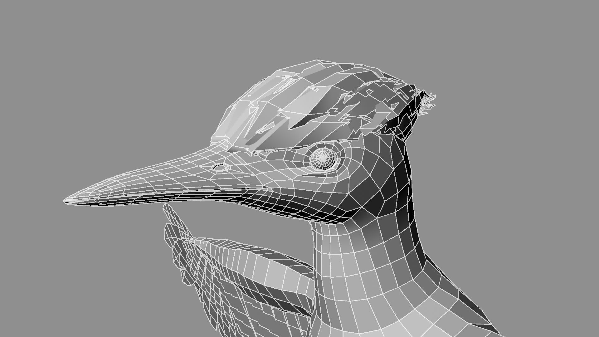 Pileated Woodpecker Animation and Rigging 3D model_33