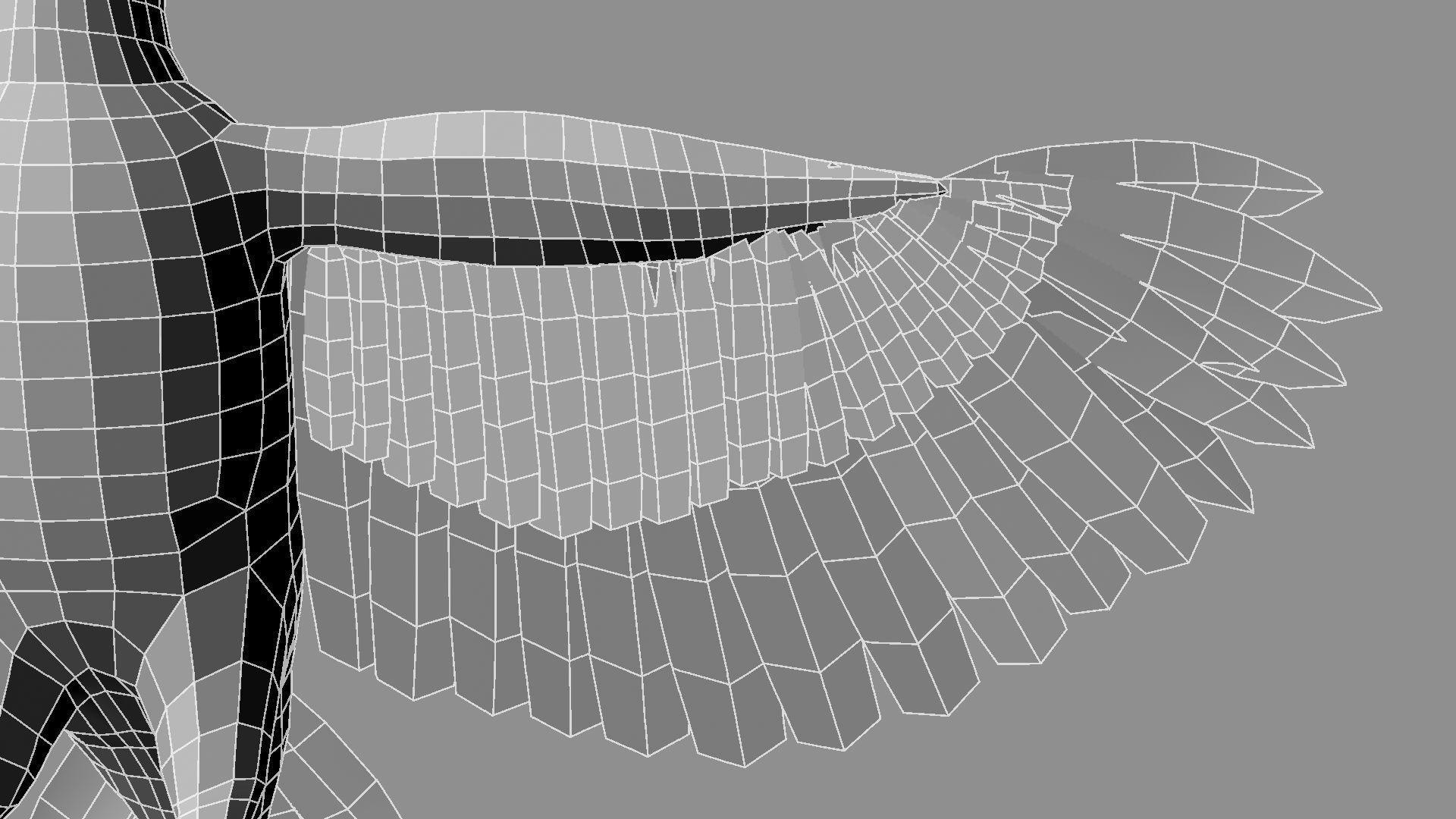 Pileated Woodpecker Animation and Rigging 3D model_36