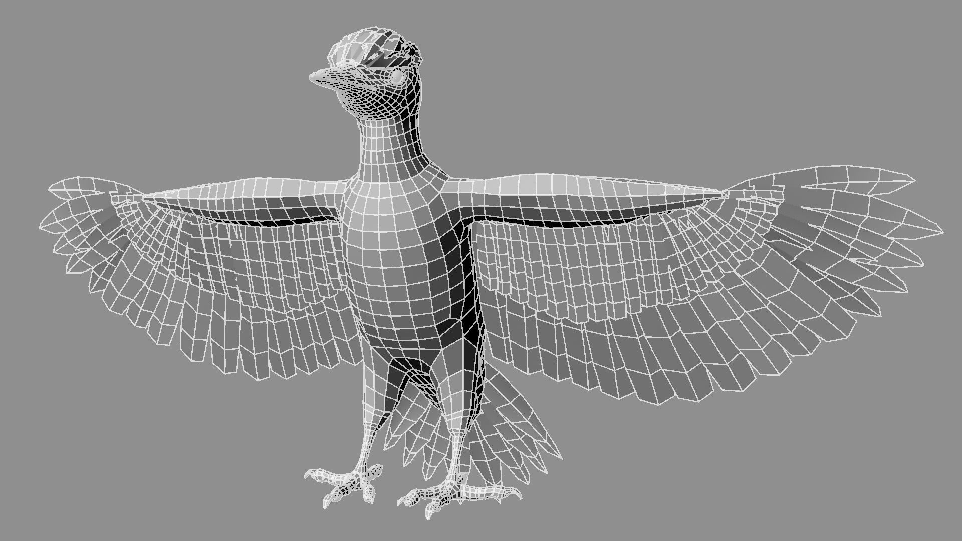 Pileated Woodpecker Animation and Rigging 3D model_30