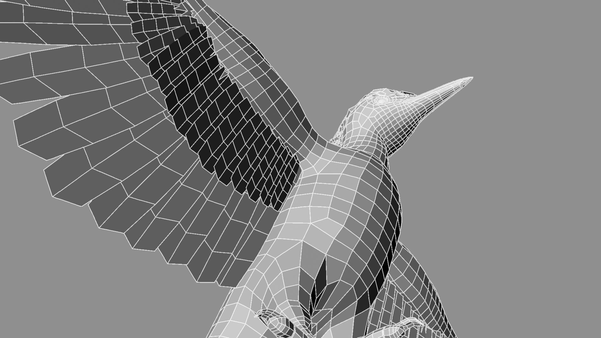 Pileated Woodpecker Animation and Rigging 3D model_45