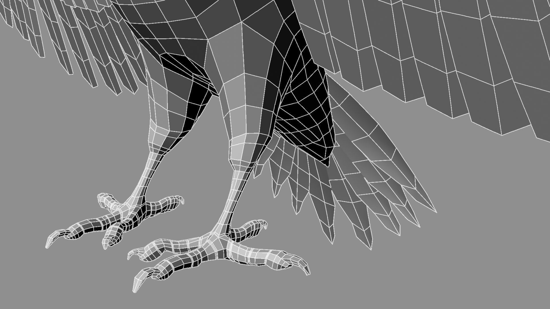 Pileated Woodpecker Animation and Rigging 3D model_41