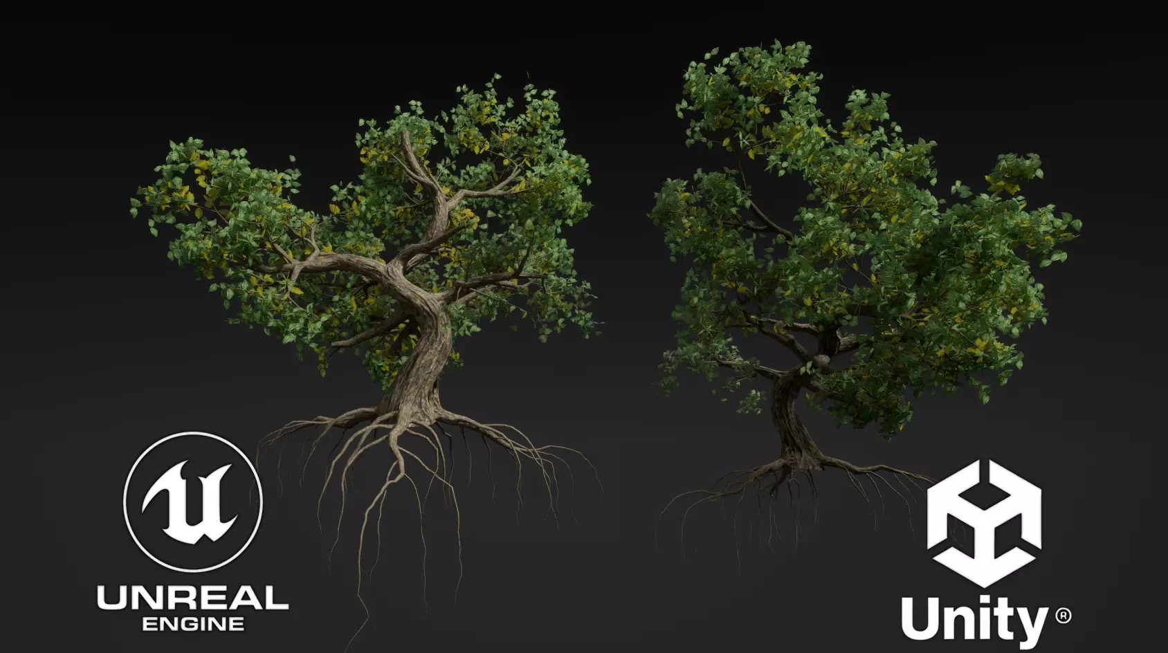 HighQuality Stylized Tree Gameready Low-poly 3D model