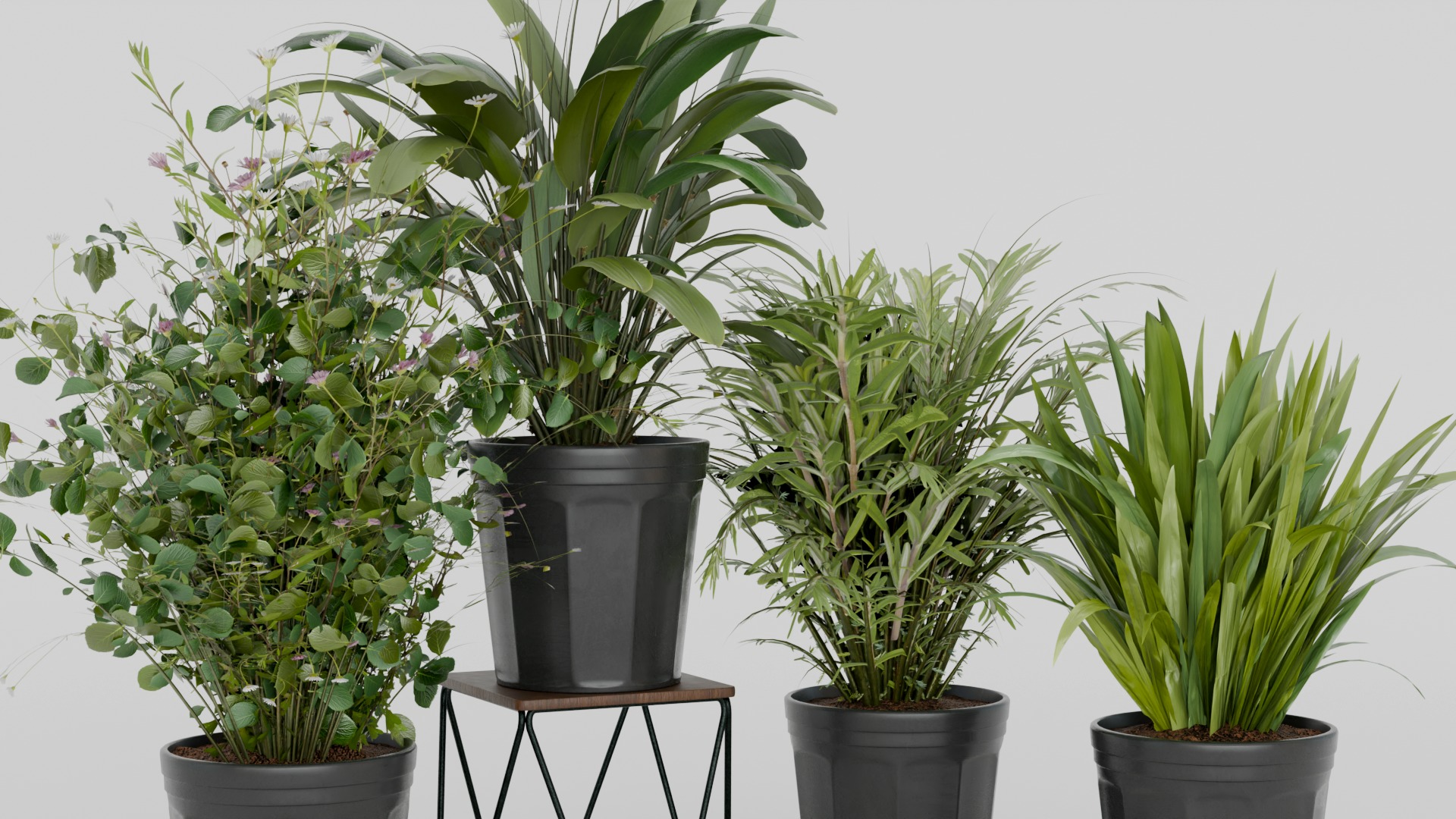 Pots with Plants 3D model_1