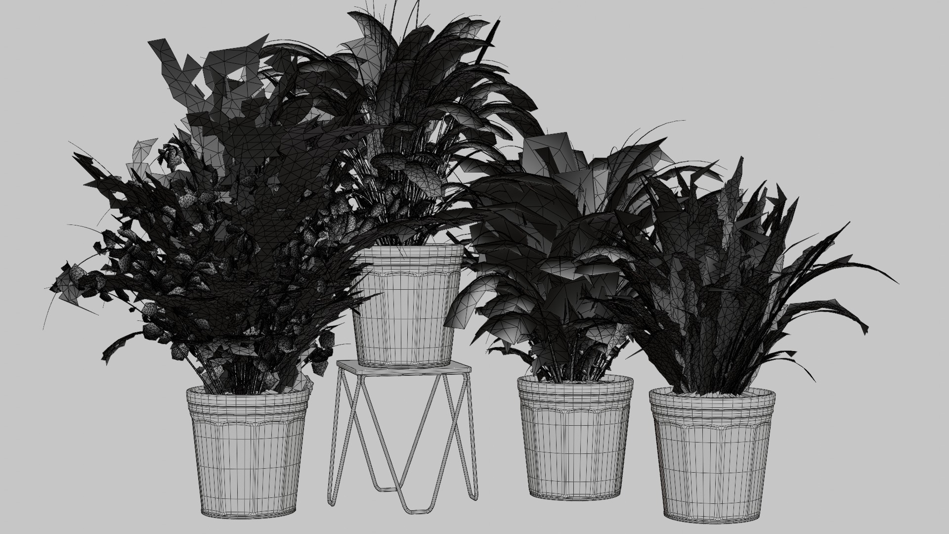 Pots with Plants 3D model_3