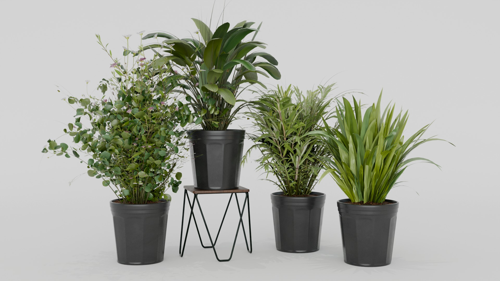 Pots with Plants 3D model_2