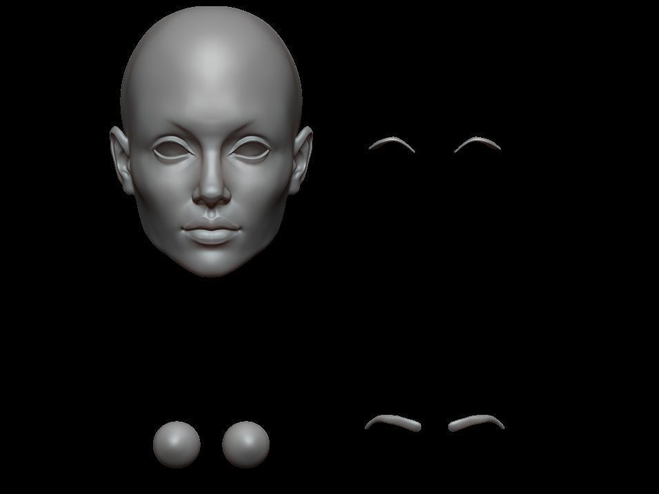 High Polygonal 3d sculpt of a female face 3D print model_8