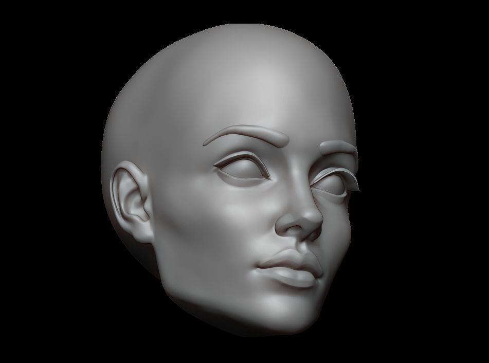High Polygonal 3d sculpt of a female face 3D print model_10