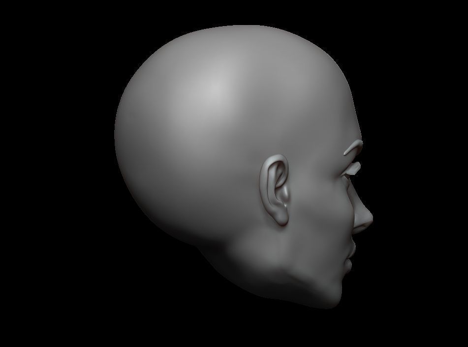 High Polygonal 3d sculpt of a female face 3D print model_9
