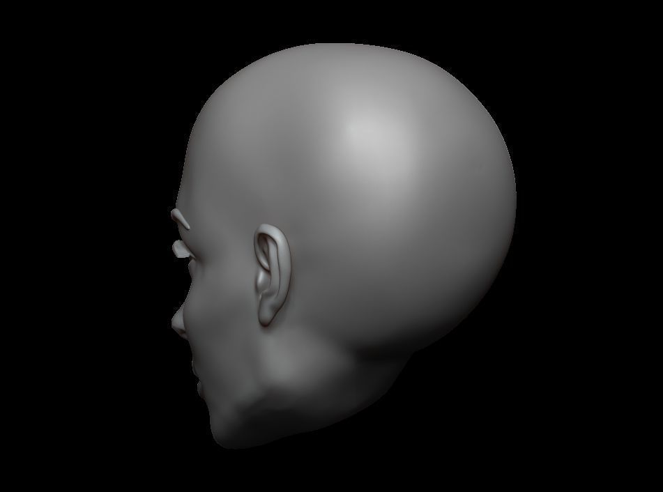 High Polygonal 3d sculpt of a female face 3D print model_4