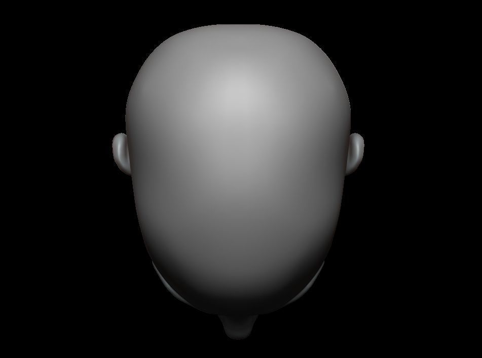 High Polygonal 3d sculpt of a female face 3D print model_7