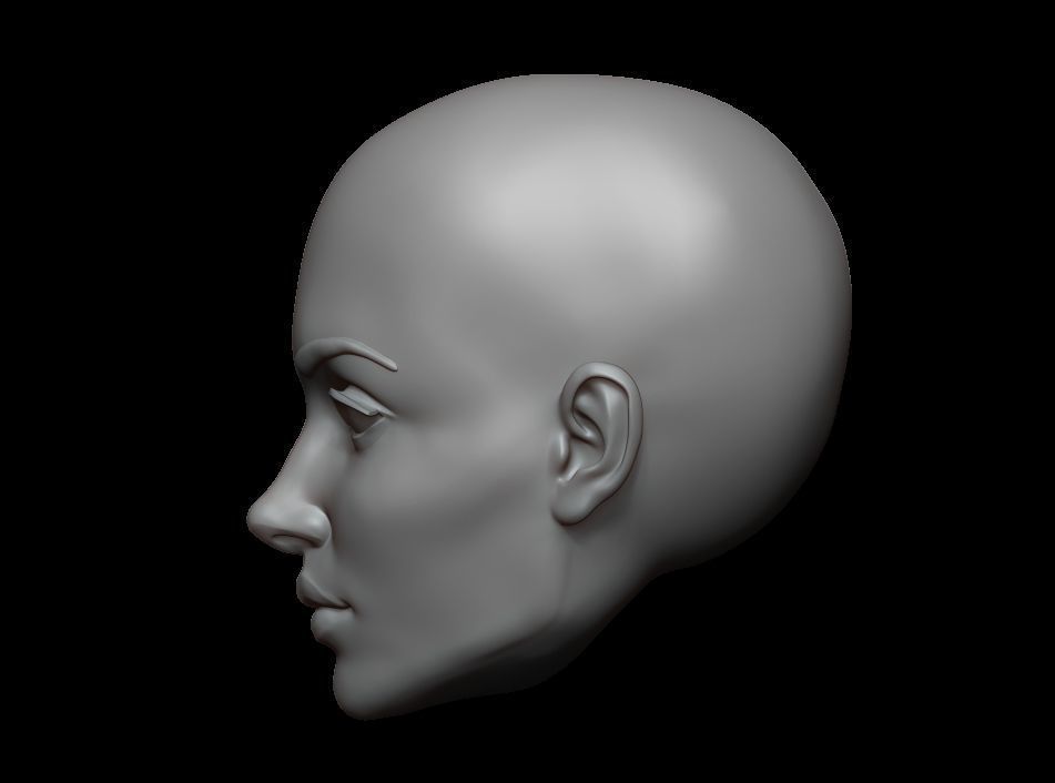 High Polygonal 3d sculpt of a female face 3D print model_3