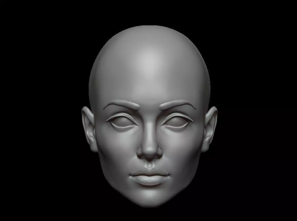 High Polygonal 3d sculpt of a female face 3D print model_0