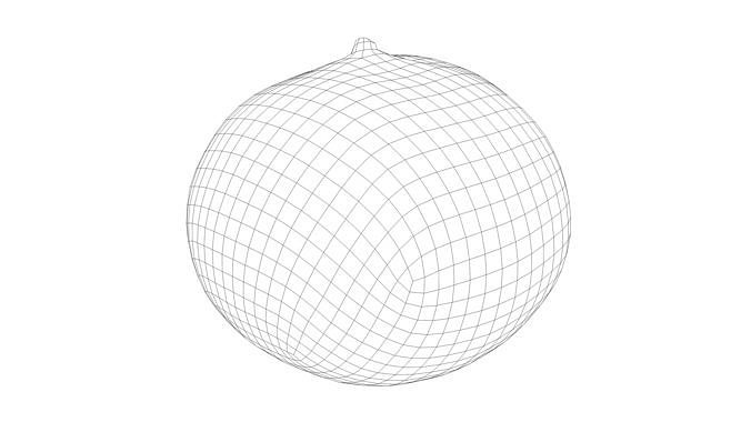 Photorealistic 3D scan of mandarin Low-poly 3D model 4