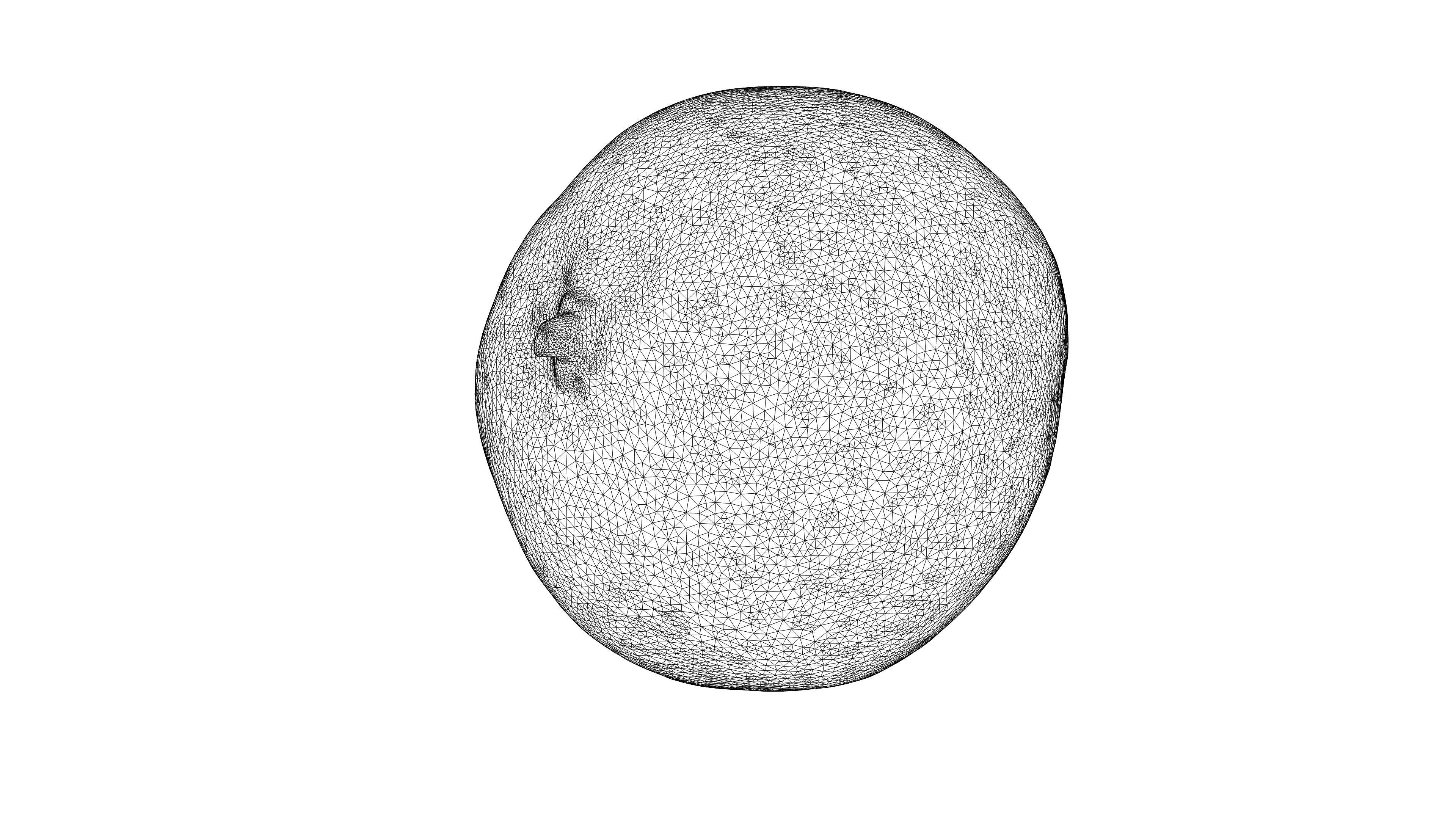 Photorealistic 3D scan of mandarin Low-poly 3D model_24