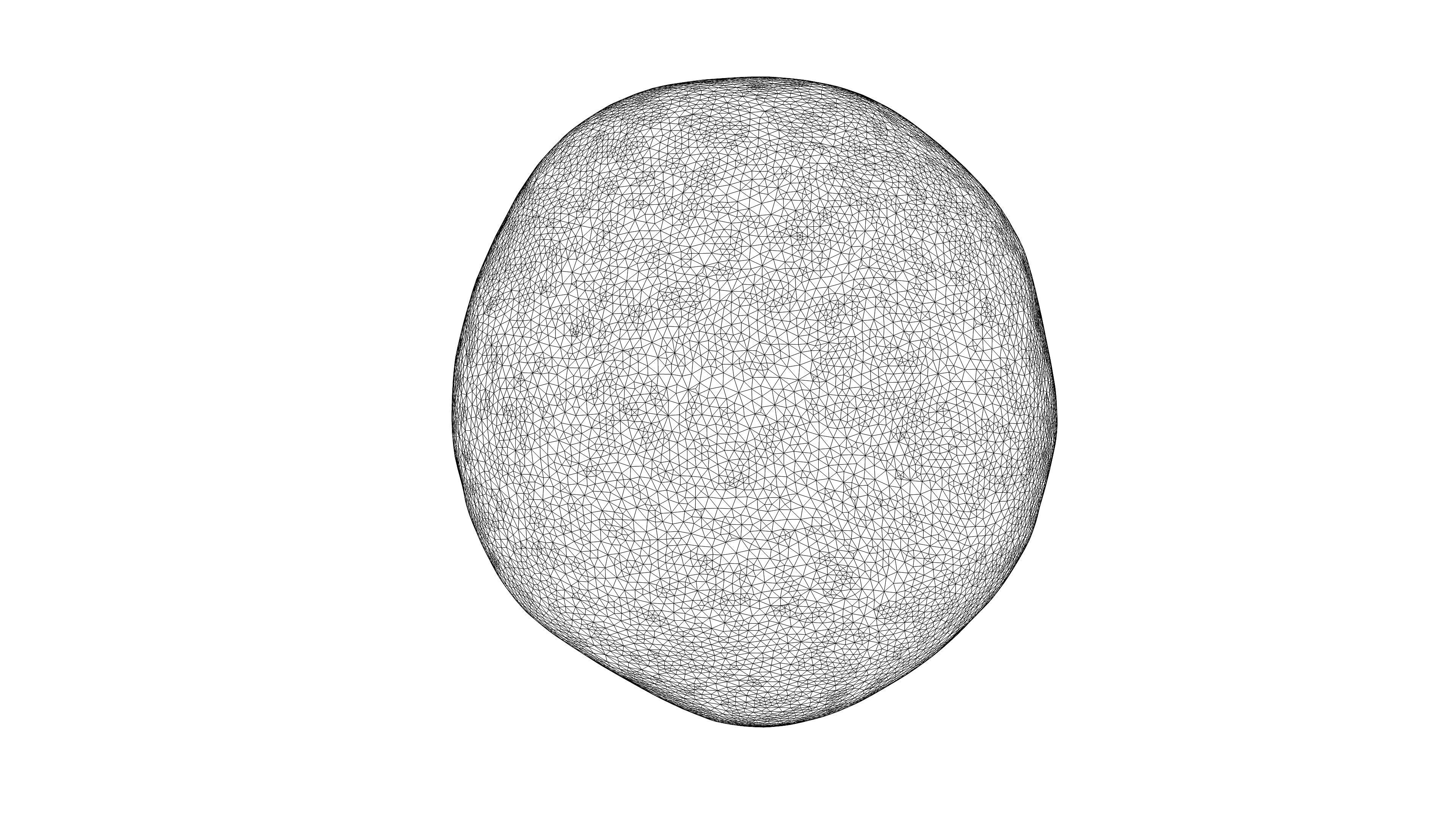 Photorealistic 3D scan of mandarin Low-poly 3D model_25