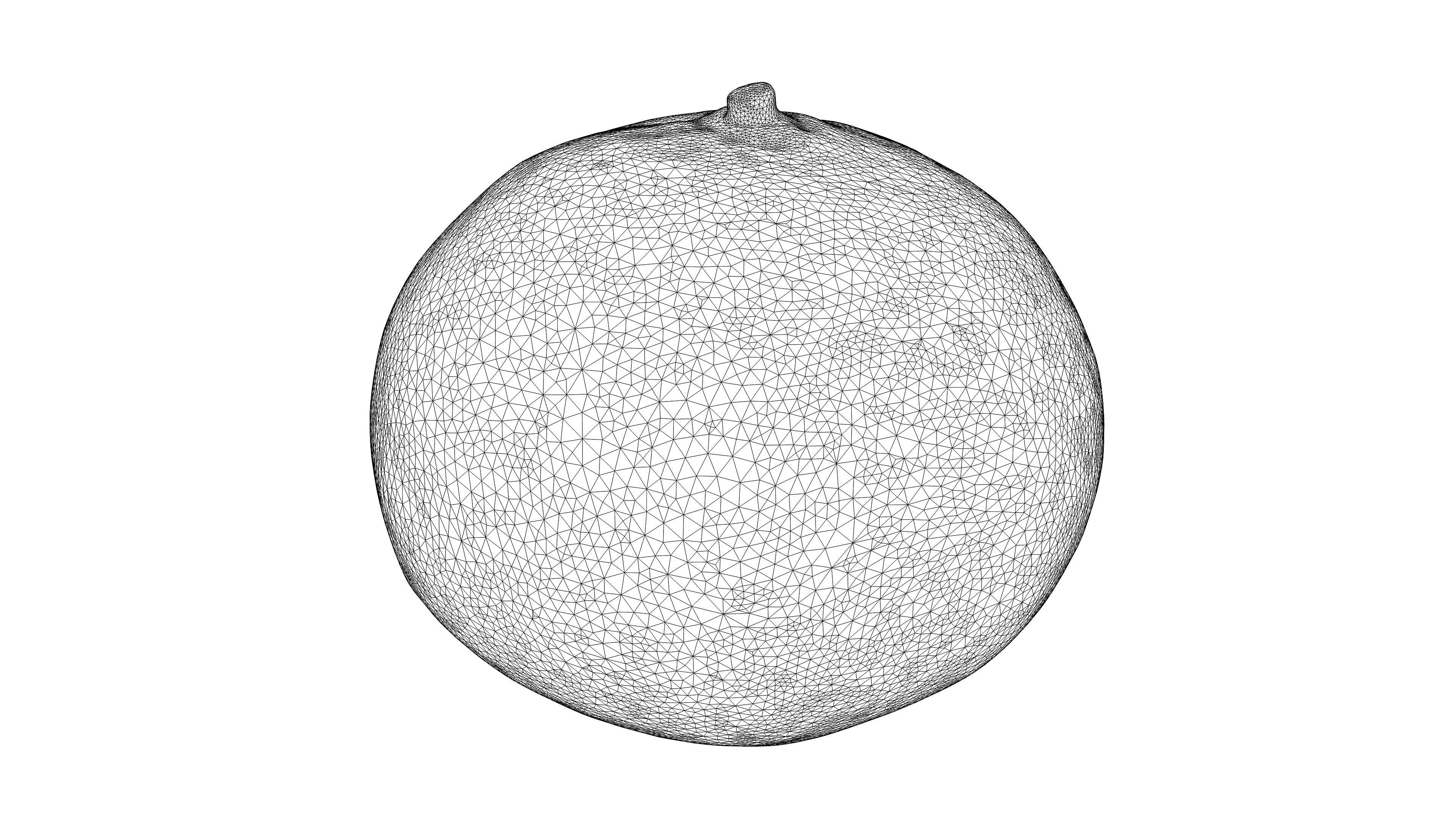 Photorealistic 3D scan of mandarin Low-poly 3D model_22