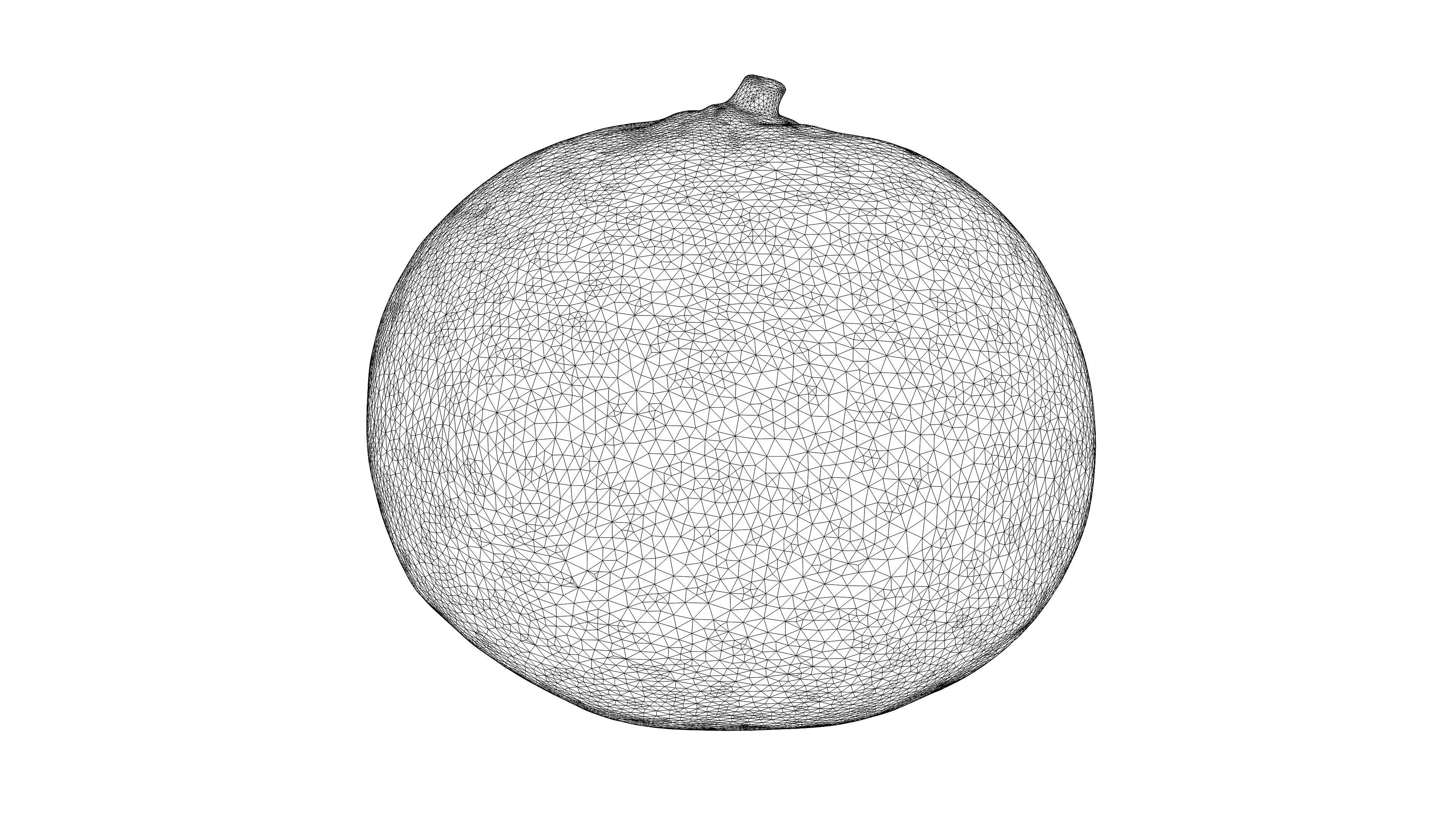 Photorealistic 3D scan of mandarin Low-poly 3D model_21