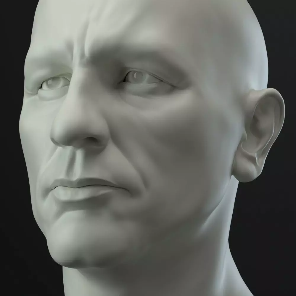 Male head 3D model_0