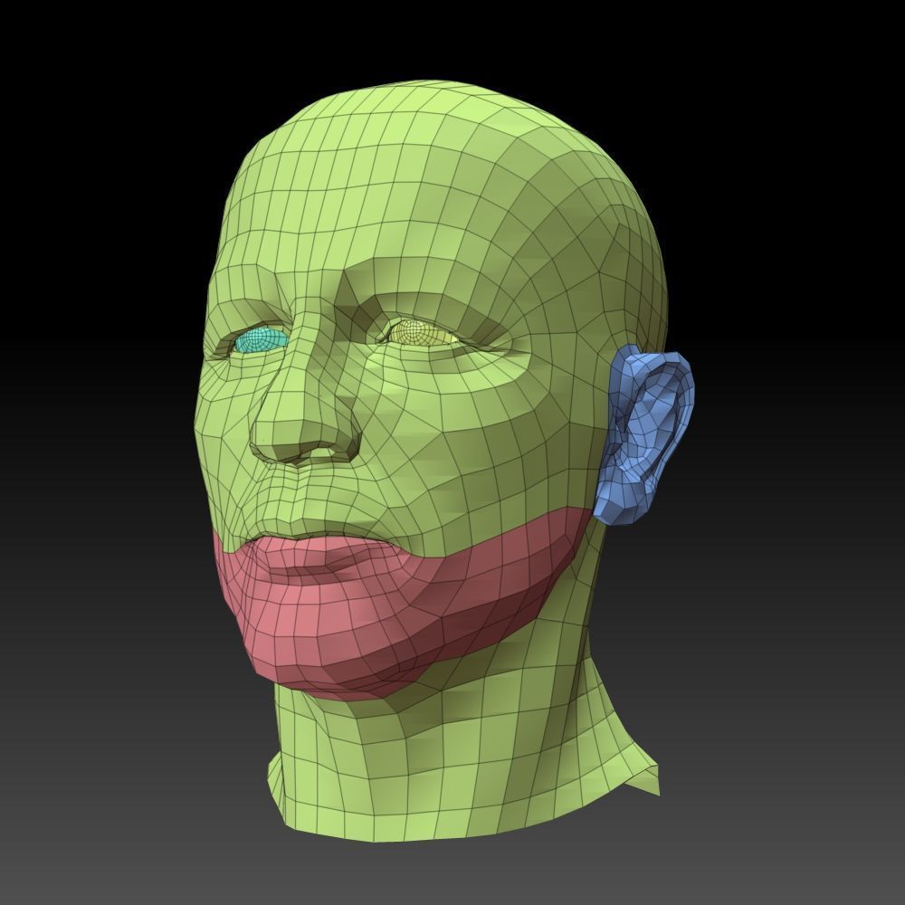 Male head 3D model_11