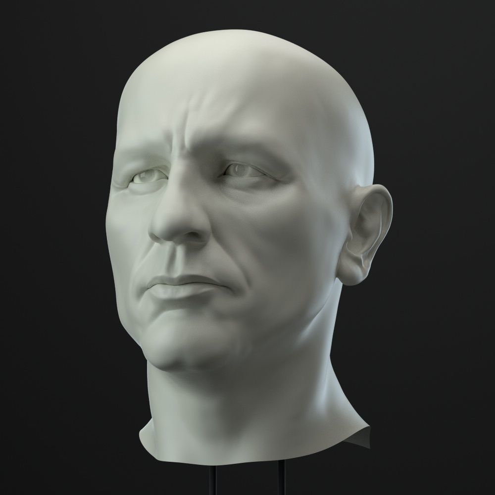 Male head 3D model_2