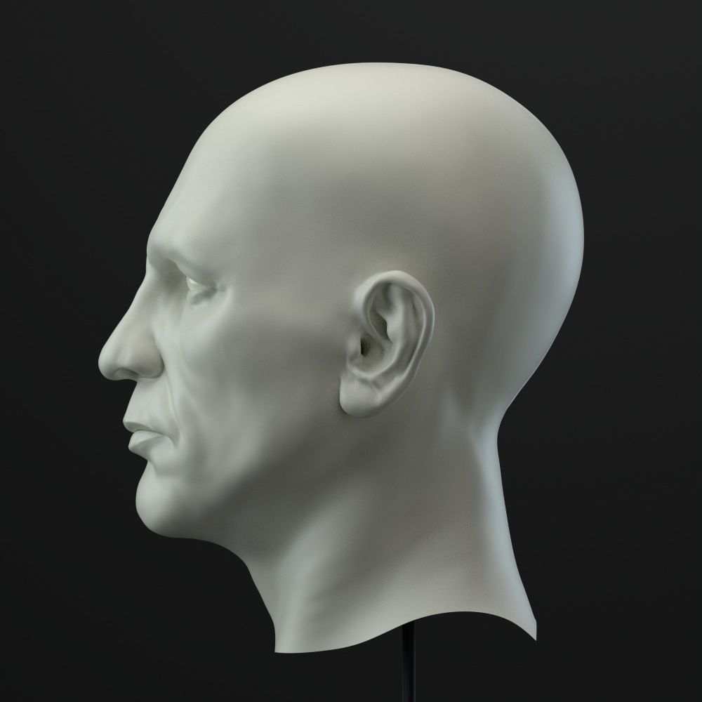 Male head 3D model_3