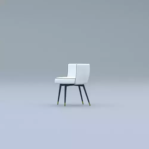 Modern Chic Chair with Cushioned Seat