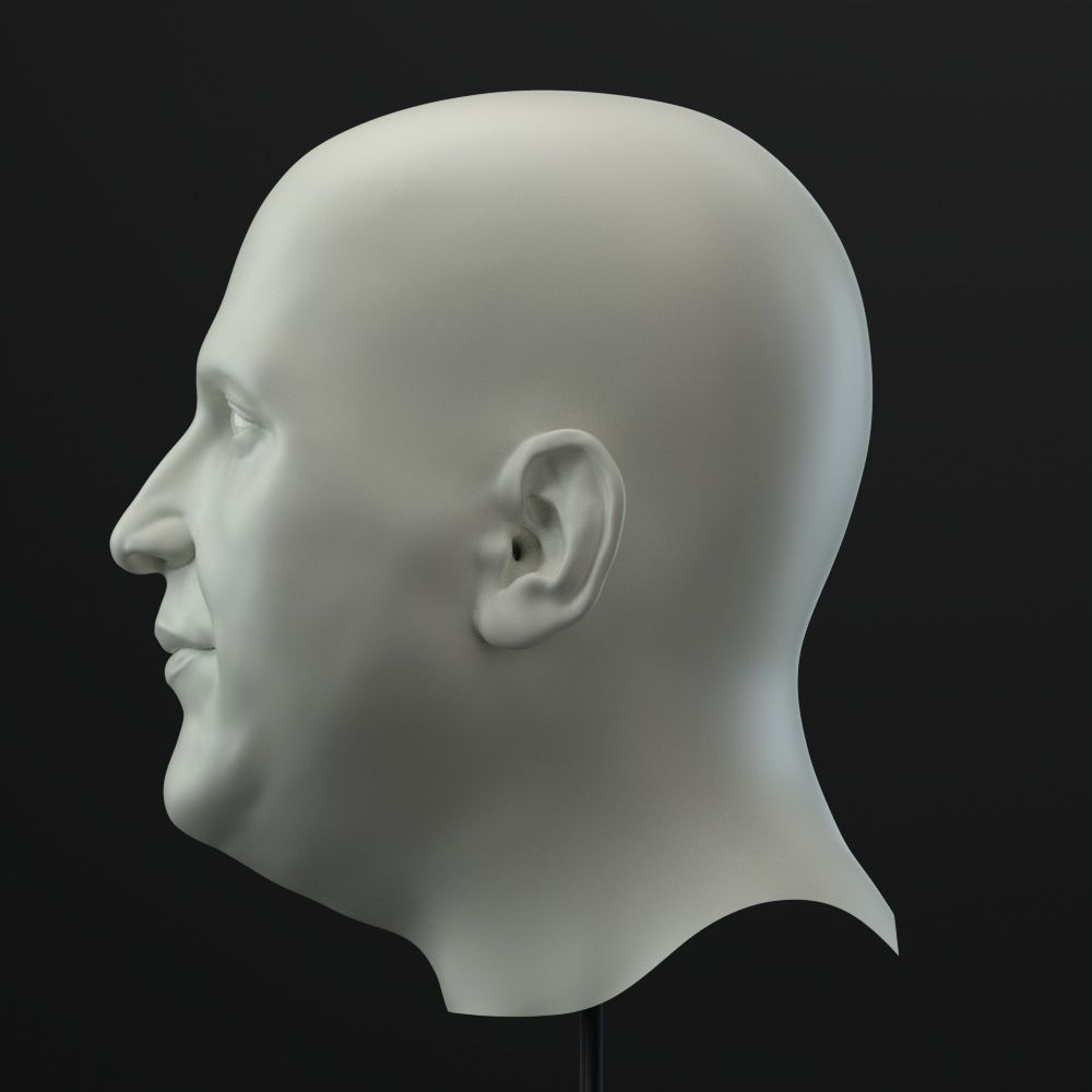 Male Head 3D model_2
