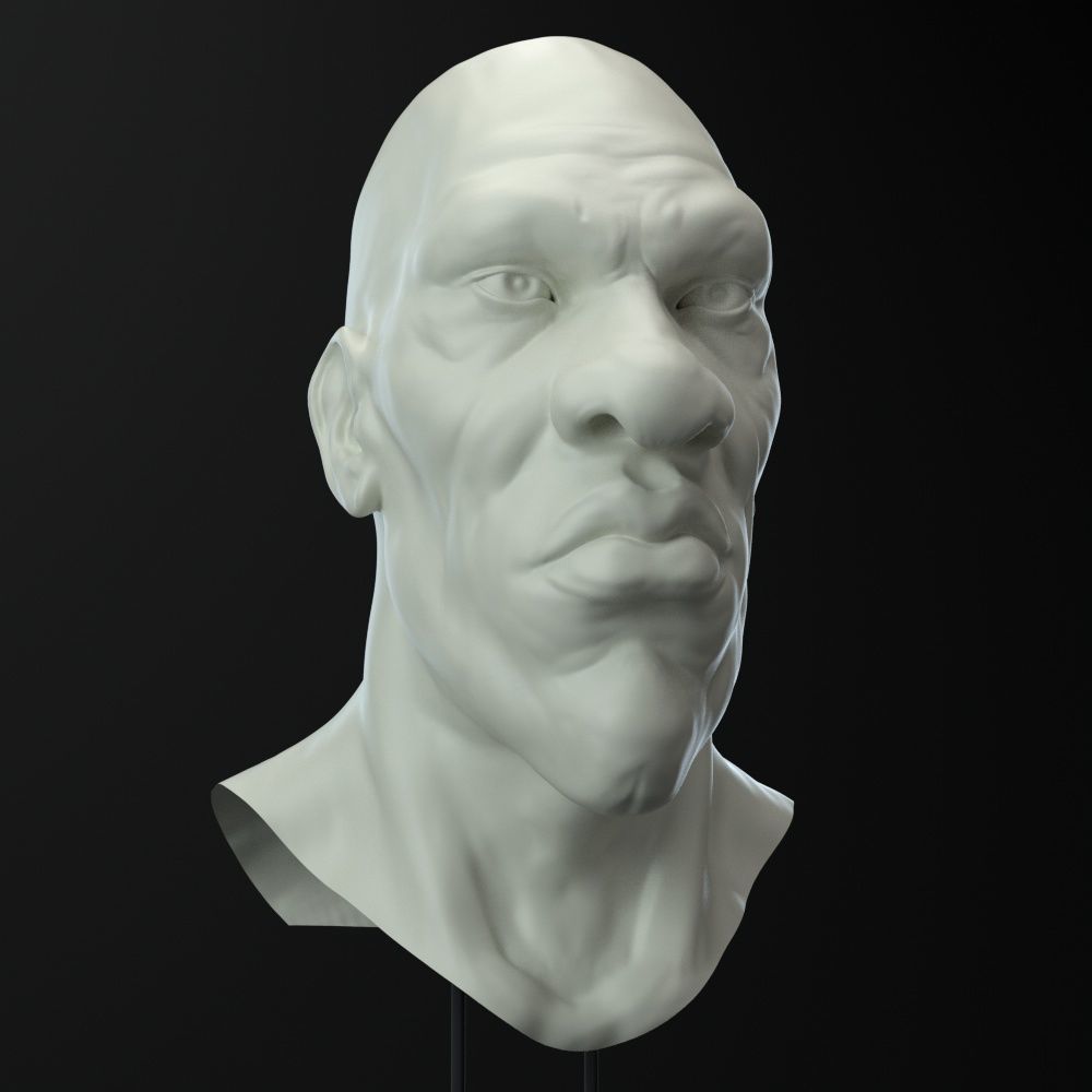 Male Head Character 3D model_3