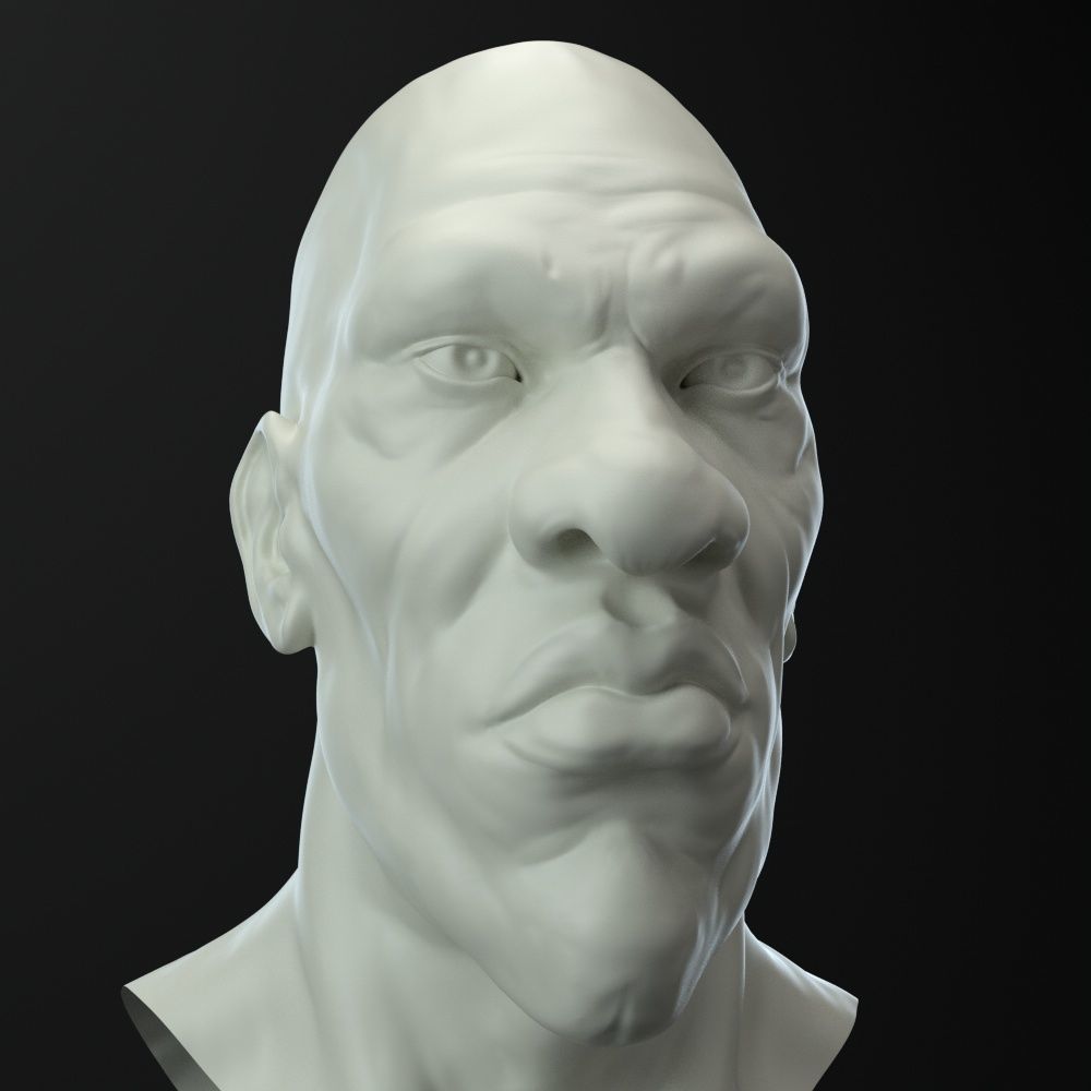 Male Head Character 3D model_4