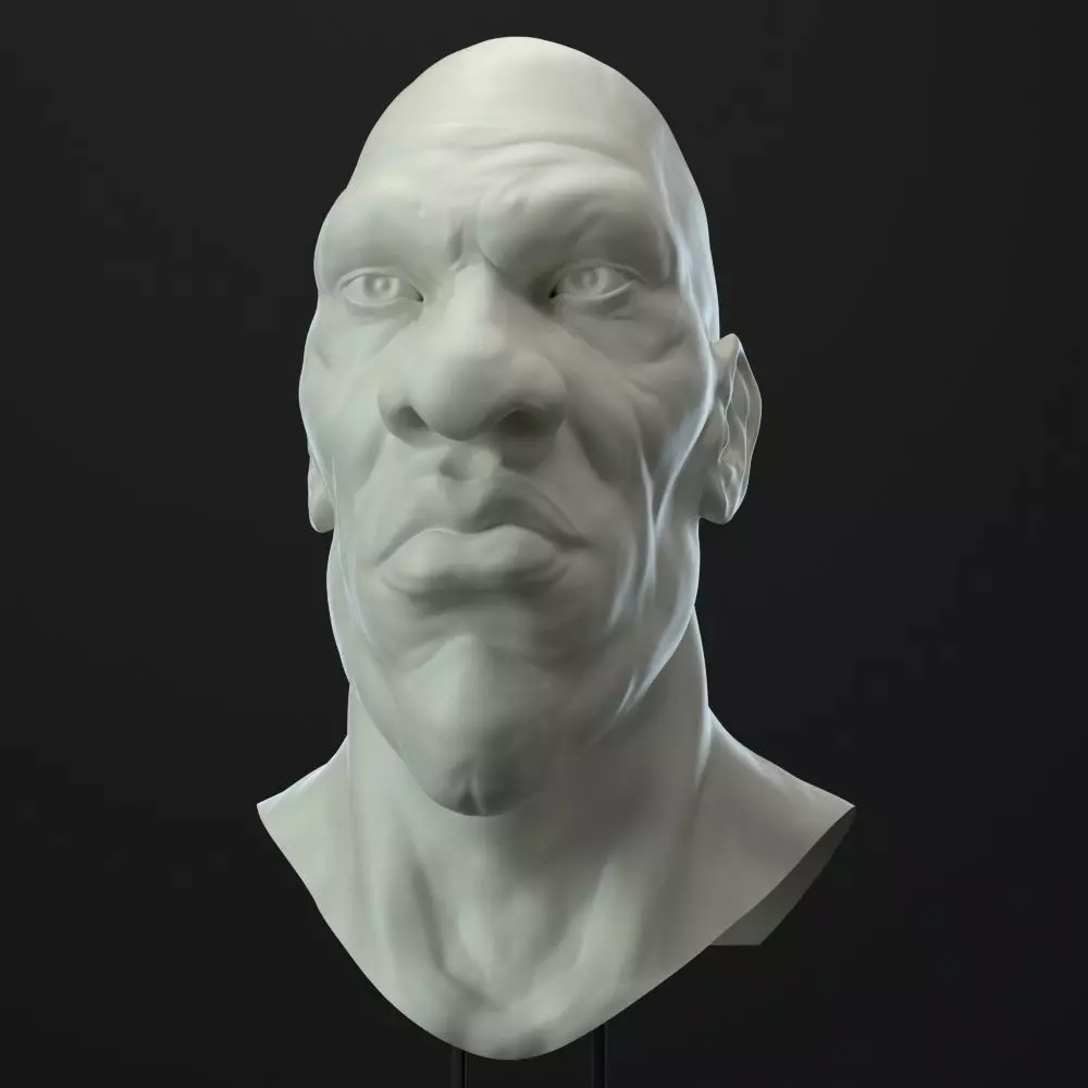 Male Head Character 3D model_0
