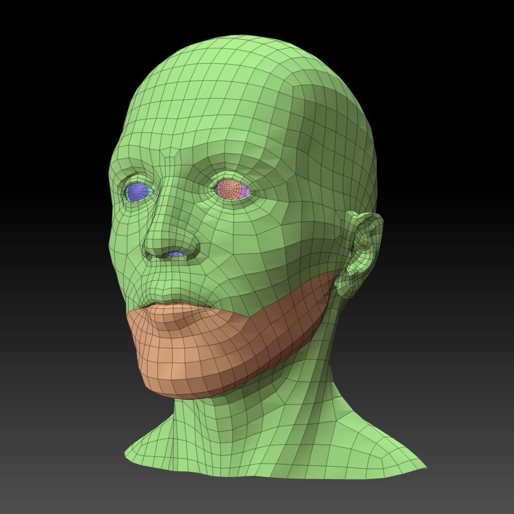 Male head 3D model_13