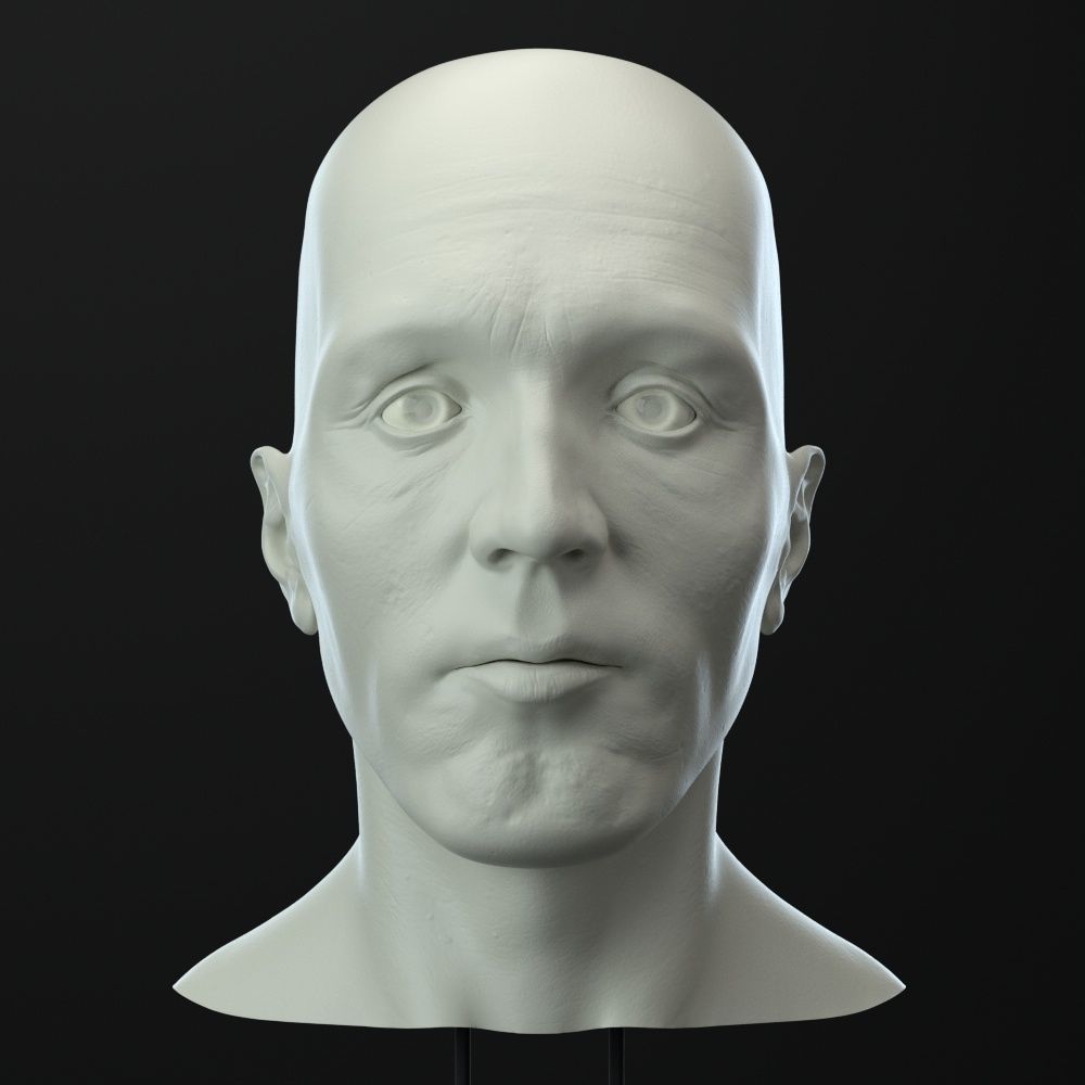 Male head 3D model_2
