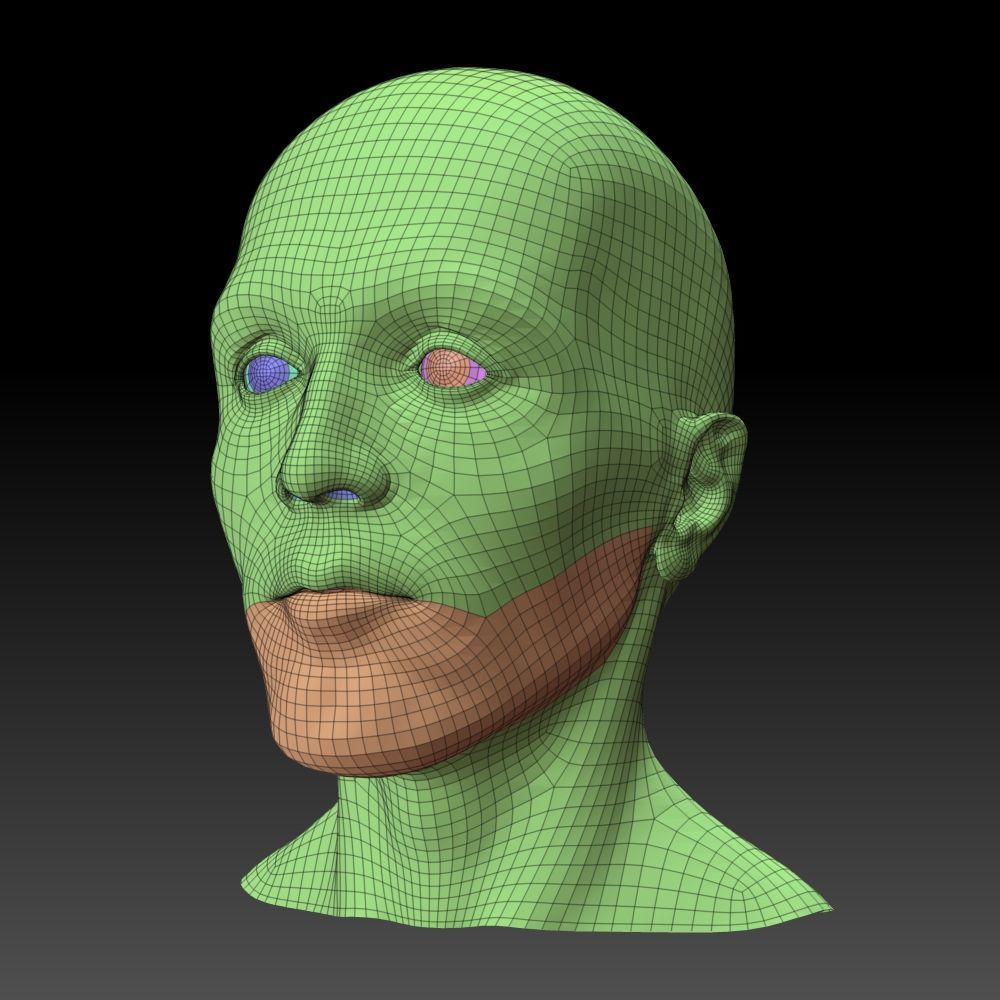 Male head 3D model_14