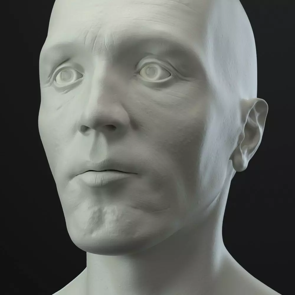 Male head 3D model_0