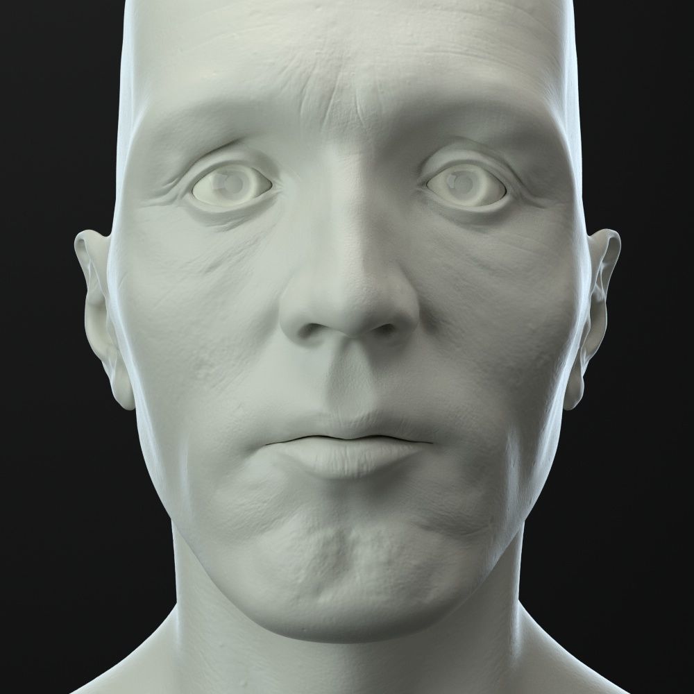 Male head 3D model_3