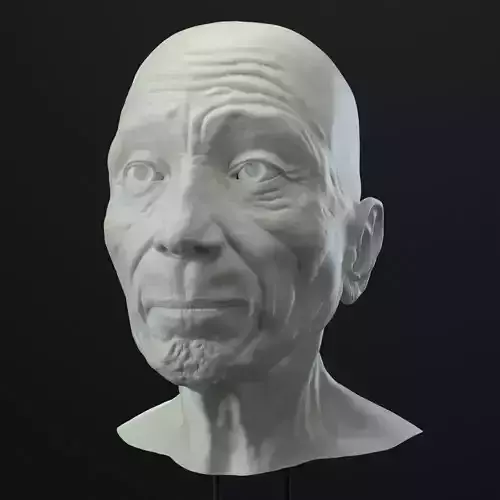 Old Man head