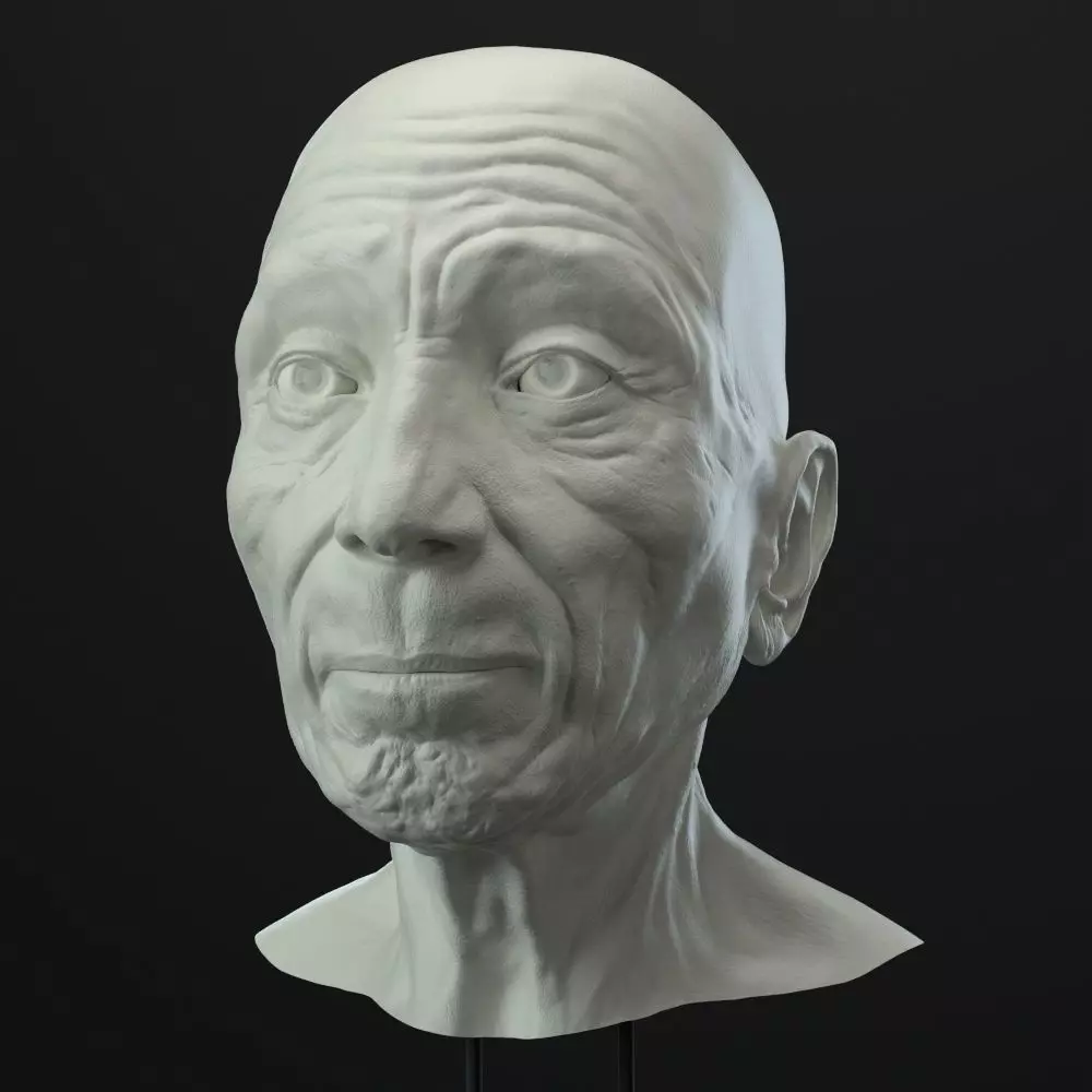 Old Man head 3D model_0