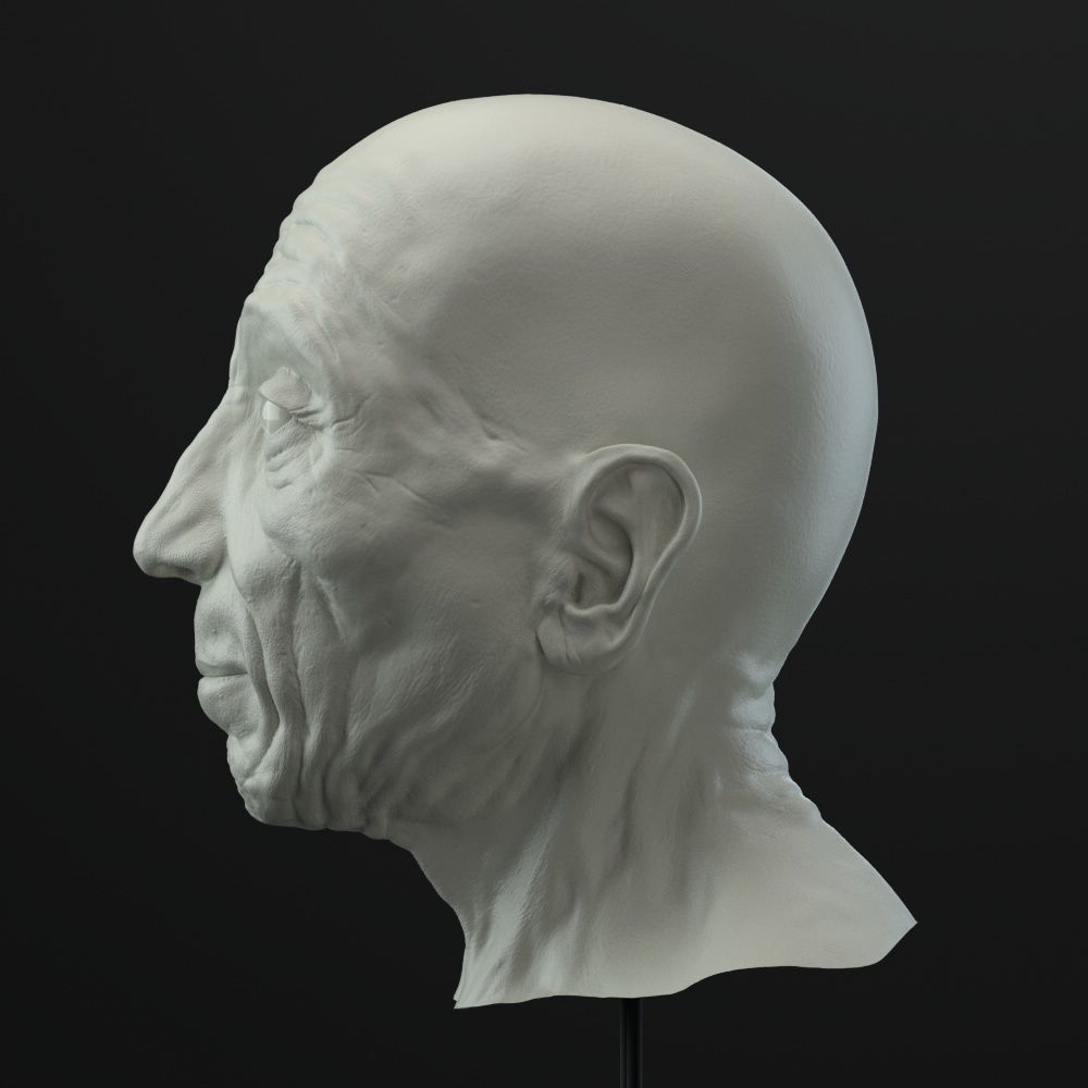 Old Man head 3D model_2