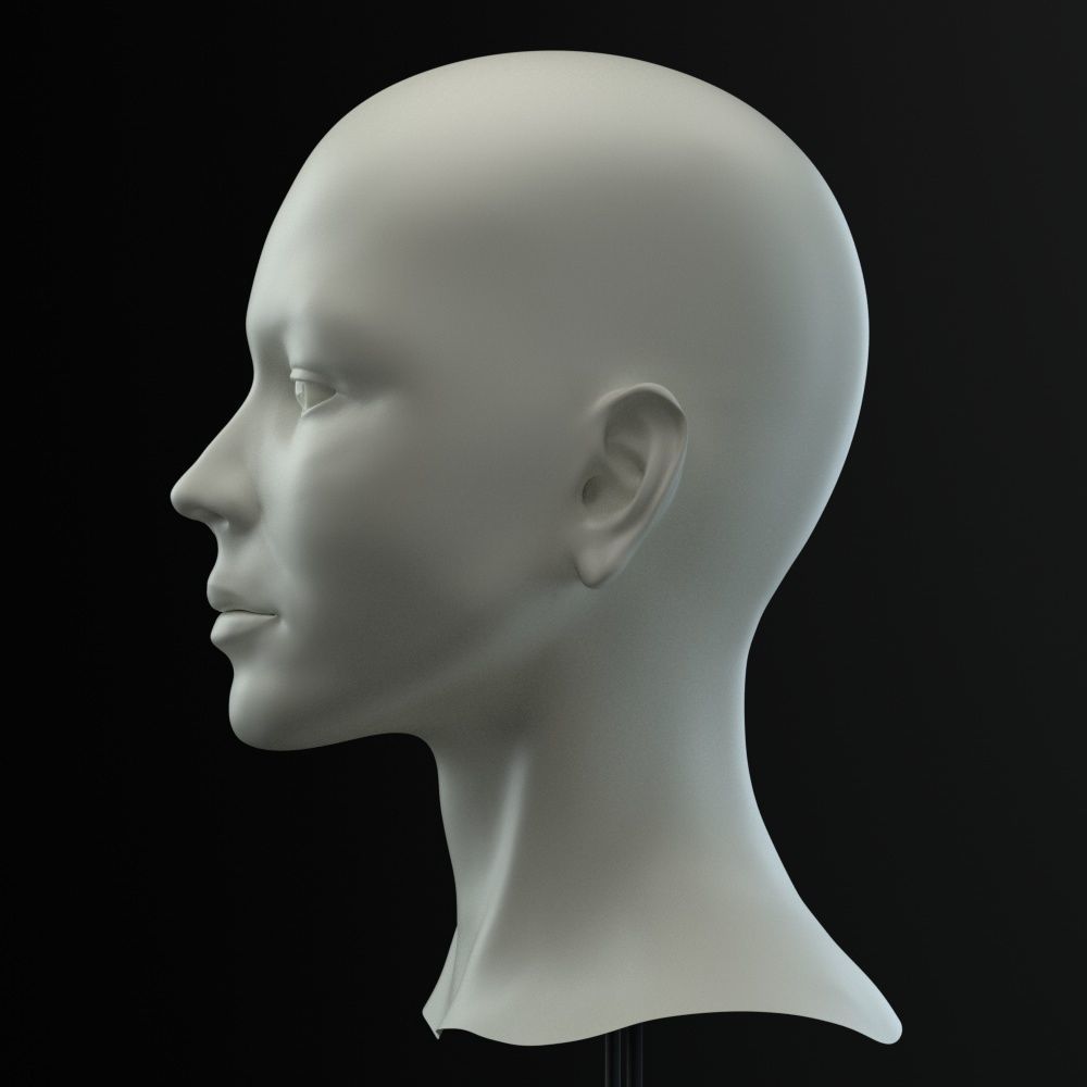 Female Head 3D model_8
