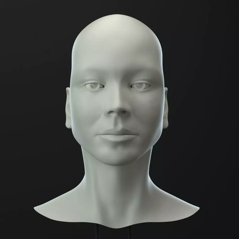 Female Head 3D model_0